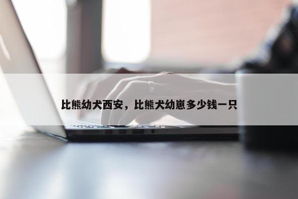 比熊幼犬西安，比熊犬幼崽多少钱一只