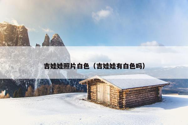 吉娃娃照片白色（吉娃娃有白色吗）