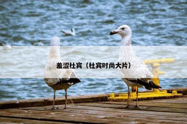 羞涩杜宾（杜宾时尚大片）