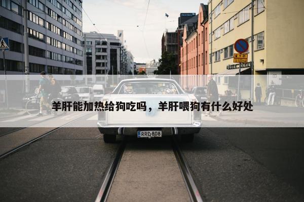 羊肝能加热给狗吃吗，羊肝喂狗有什么好处