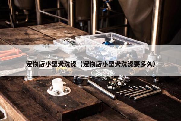 宠物店小型犬洗澡（宠物店小型犬洗澡要多久）