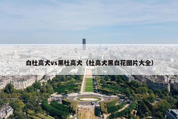 白杜高犬vs黑杜高犬（杜高犬黑白花图片大全）