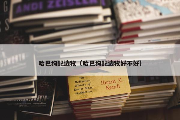 哈巴狗配边牧（哈巴狗配边牧好不好）