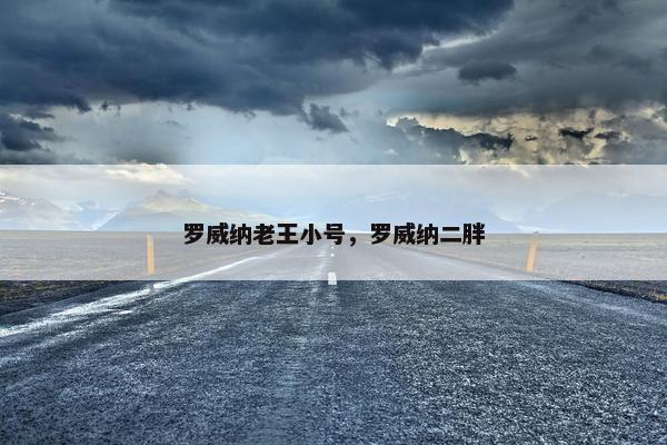 罗威纳老王小号，罗威纳二胖