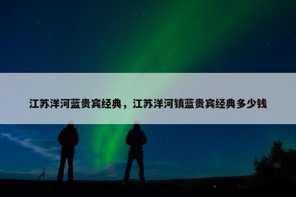 江苏洋河蓝贵宾经典，江苏洋河镇蓝贵宾经典多少钱