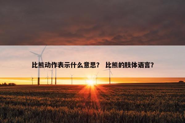 比熊动作表示什么意思？ 比熊的肢体语言？