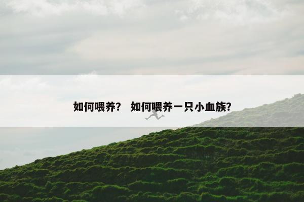 如何喂养？ 如何喂养一只小血族？