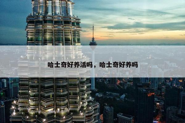 哈士奇好养活吗，哈士奇好养吗