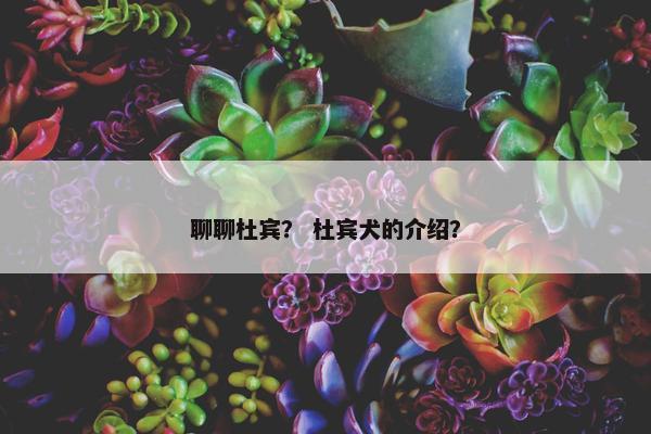 聊聊杜宾？ 杜宾犬的介绍？