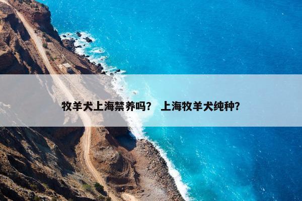 牧羊犬上海禁养吗？ 上海牧羊犬纯种？