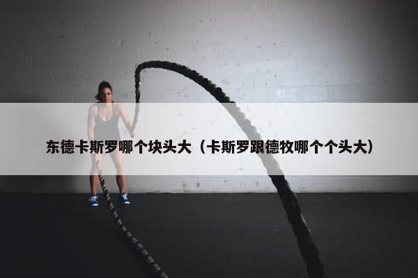东德卡斯罗哪个块头大（卡斯罗跟德牧哪个个头大）