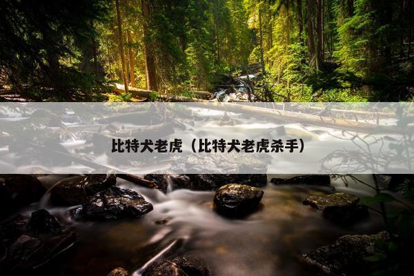 比特犬老虎（比特犬老虎杀手）