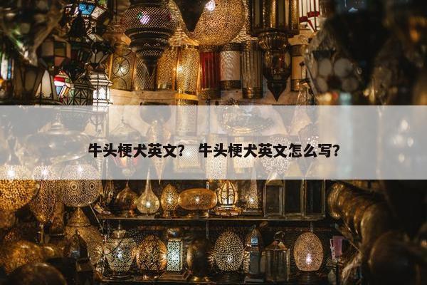 牛头梗犬英文？ 牛头梗犬英文怎么写？