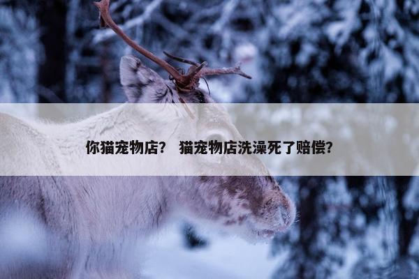 你猫宠物店？ 猫宠物店洗澡死了赔偿？