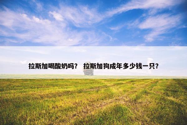 拉斯加喝酸奶吗？ 拉斯加狗成年多少钱一只？
