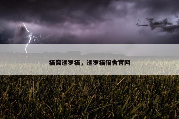 猫窝暹罗猫，暹罗猫猫舍官网