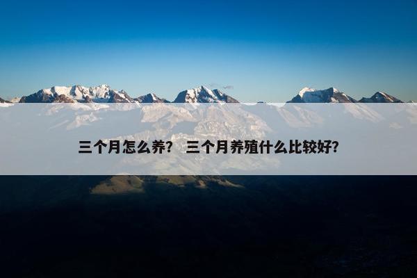 三个月怎么养？ 三个月养殖什么比较好？