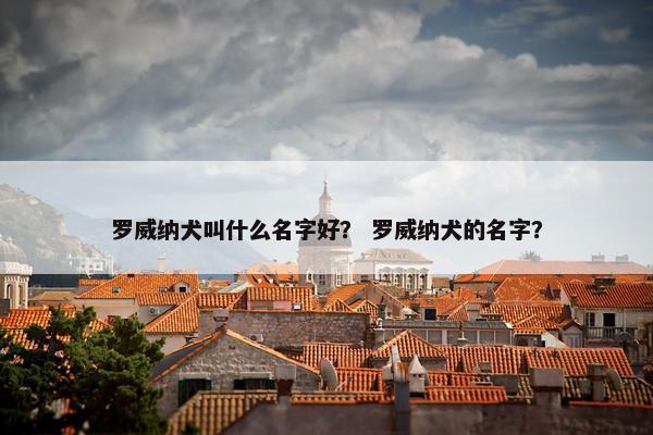 罗威纳犬叫什么名字好？ 罗威纳犬的名字？