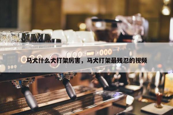 马犬什么犬打架厉害，马犬打架最残忍的视频