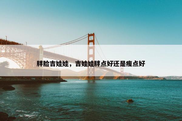 胖脸吉娃娃，吉娃娃胖点好还是瘦点好