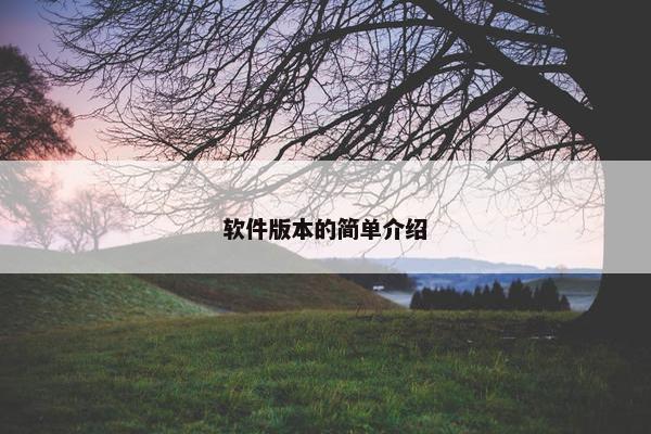 软件版本的简单介绍
