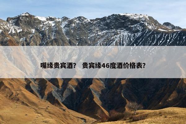 嘴缘贵宾酒？ 贵宾缘46度酒价格表？