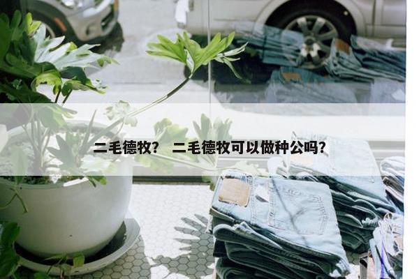 二毛德牧？ 二毛德牧可以做种公吗？