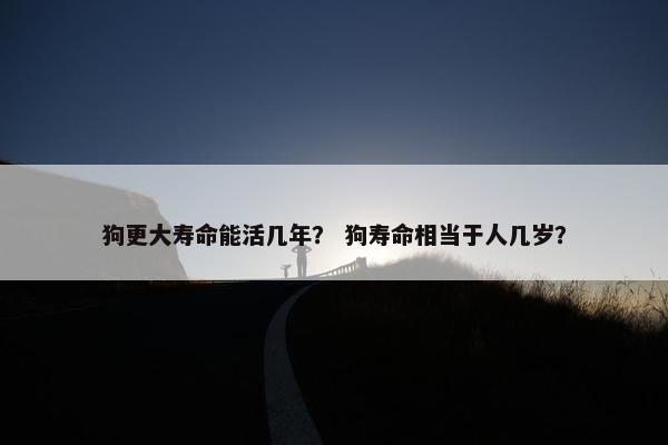 狗更大寿命能活几年？ 狗寿命相当于人几岁？