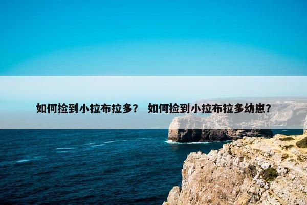 如何捡到小拉布拉多？ 如何捡到小拉布拉多幼崽？