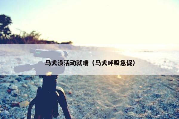 马犬没活动就喘（马犬呼吸急促）