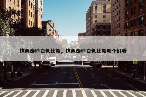 棕色泰迪白色比熊，棕色泰迪白色比熊哪个好看