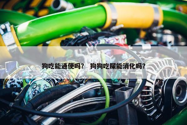 狗吃能通便吗？ 狗狗吃屎能消化吗？