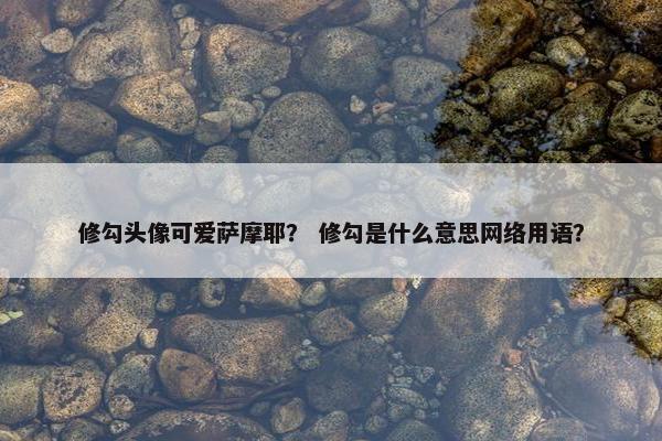修勾头像可爱萨摩耶？ 修勾是什么意思网络用语？