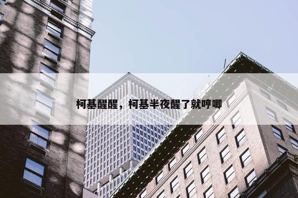 柯基醒醒，柯基半夜醒了就哼唧