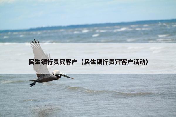 民生银行贵宾客户（民生银行贵宾客户活动）