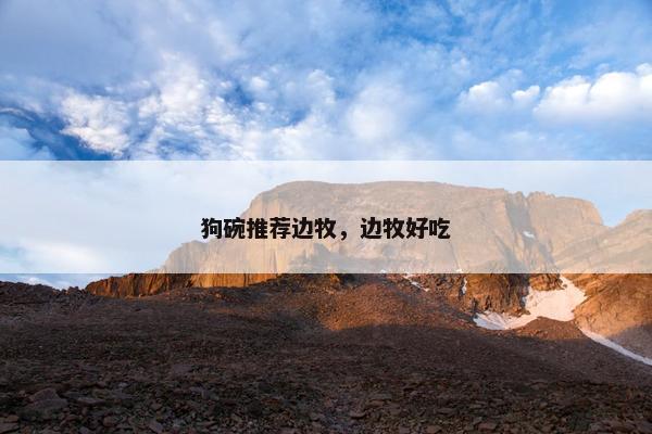 狗碗推荐边牧，边牧好吃