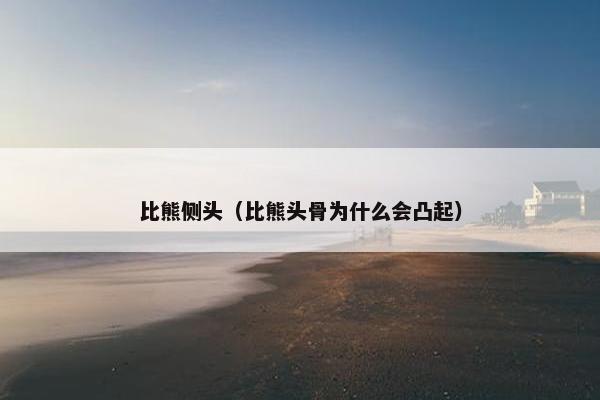 比熊侧头（比熊头骨为什么会凸起）