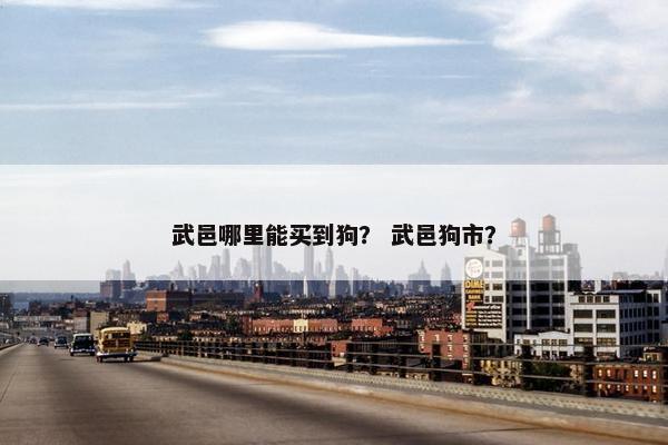 武邑哪里能买到狗？ 武邑狗市？