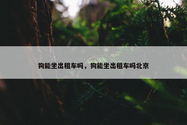 狗能坐出租车吗，狗能坐出租车吗北京