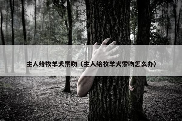 主人给牧羊犬索吻（主人给牧羊犬索吻怎么办）