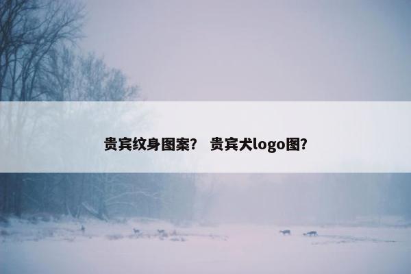 贵宾纹身图案？ 贵宾犬logo图？