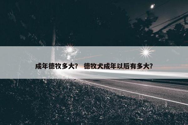 成年德牧多大？ 德牧犬成年以后有多大？