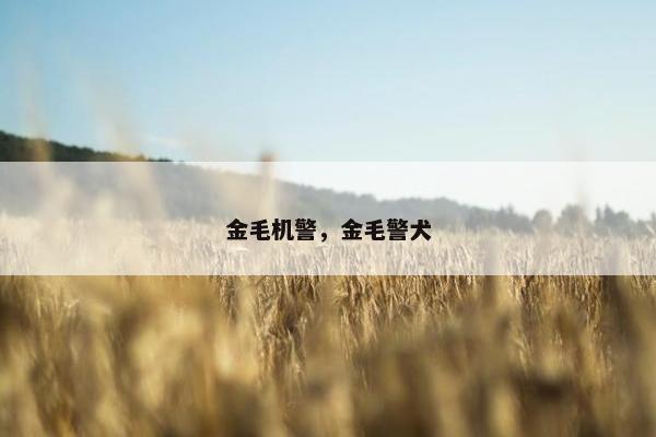 金毛机警，金毛警犬