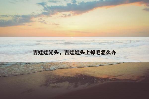 吉娃娃光头，吉娃娃头上掉毛怎么办