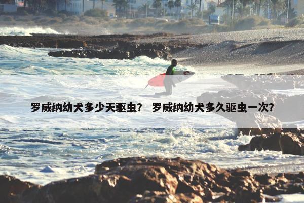 罗威纳幼犬多少天驱虫？ 罗威纳幼犬多久驱虫一次？