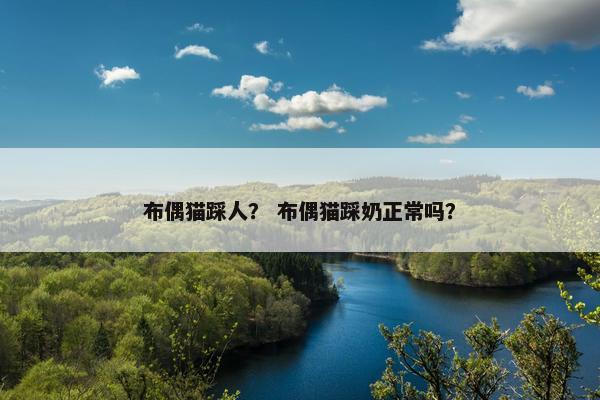 布偶猫踩人？ 布偶猫踩奶正常吗？