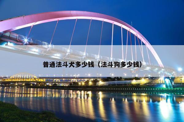 普通法斗犬多少钱（法斗狗多少钱）
