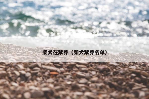 柴犬在禁养（柴犬禁养名单）