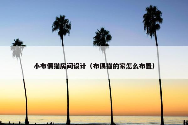 小布偶猫房间设计（布偶猫的家怎么布置）