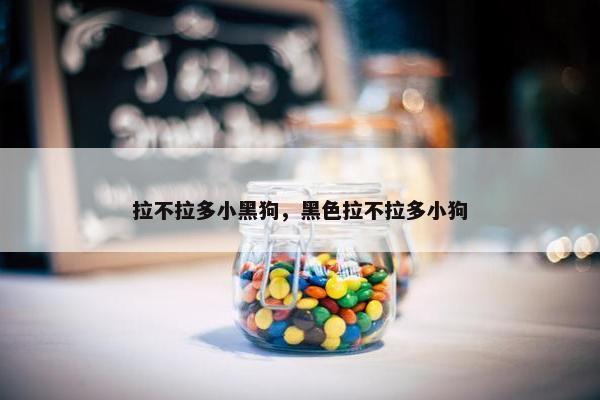 拉不拉多小黑狗，黑色拉不拉多小狗